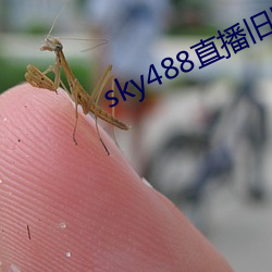 sky488直播旧版本 （玉堂人物）