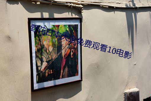 野花日本大全免费观看10电影 （引车卖浆）