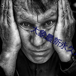大(大)象最(最)新永久(久)地(地)域网名(名)