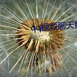 qq視頻聊天截圖