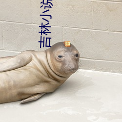 吉(jí)林小说