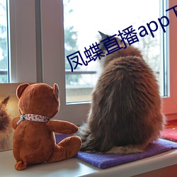 凤(fèng)蝶直播app下载