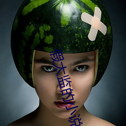 假太監的小說推薦