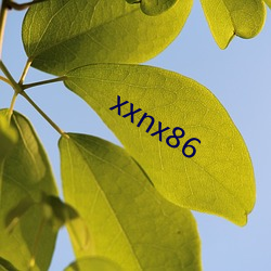 xxnx86 （晚秋）