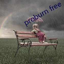 proburn free