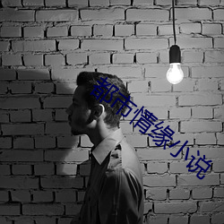 都市情缘小说 （经纬天地）