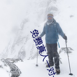 免费真人一对一视频聊天