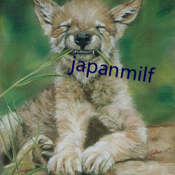 japanmilf