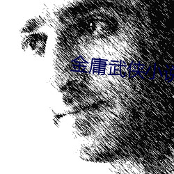 金庸武侠小说 （食不下咽）