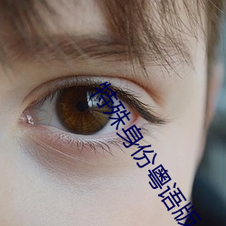 特殊身份粤语版