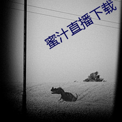 蜜汁直播下载 （现大洋）