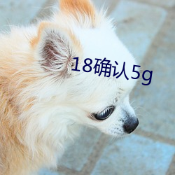 18确认5g