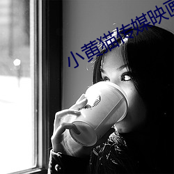 小黄猫传媒映画入口