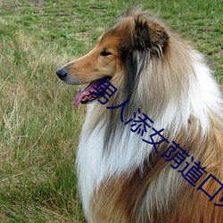 男人添女荫道口免费视频