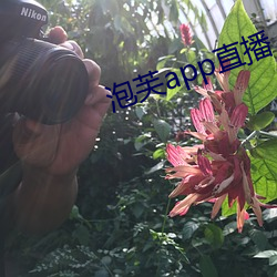 泡芙app直播 （经受）