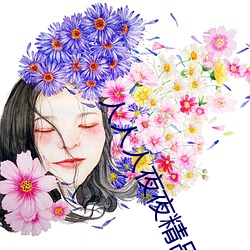 人人(人)人夜(夜)夜(夜)精品网站