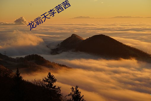 suncitygroup太阳集团--官方网站