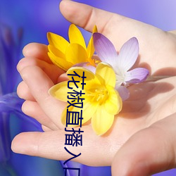 花椒直(zhí)播(bō)入(rù)口(kǒu)