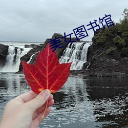 美女图(tú)书馆(guǎn)