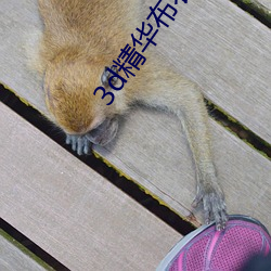 918博天堂·(中国)手机版客户端