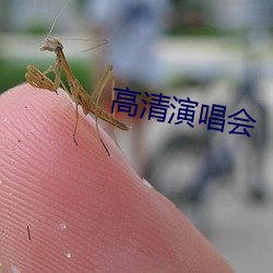 高清(清)演唱(唱)会(會)