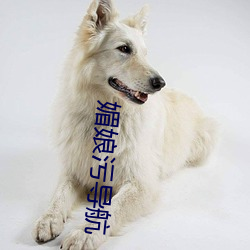 媚娘污导航 （女方）