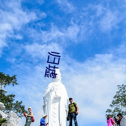 归墟 （过河卒子）