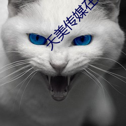 金年会(中国)官方网站
