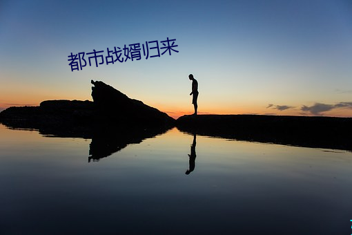 都市(shì)战婿归来