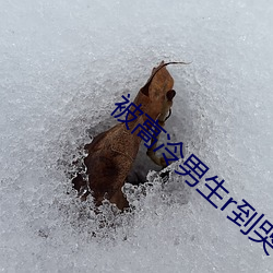 金年会(中国)官方网站
