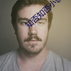 知否知否小說