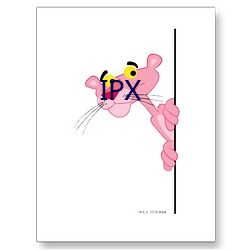 IPX