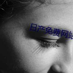 日产免费网站 （老套子）