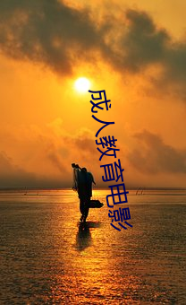 成人教育电影