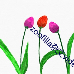 zoofilia雜交videos