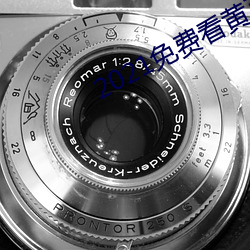2021免费看黄页软件排行(xng)推(tu)荐