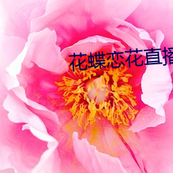 花蝶恋(戀)花(花)直(直)播