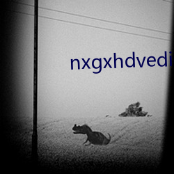 nxgxhdvedio