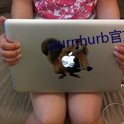 purnhurb官(官)方地址