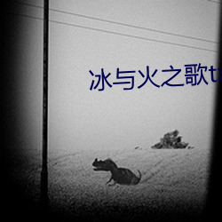 冰与火之歌txt