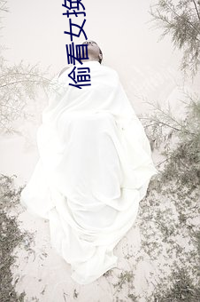 偷看女换内卫生巾视频 （清风两袖）