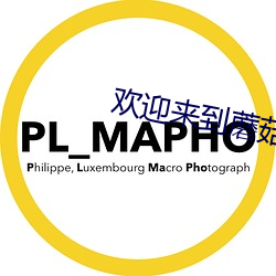 欢迎来到蘑菇屋