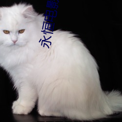 永(yǒng)恒(héng)电影院