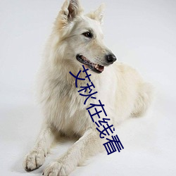艾秋在线看