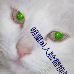 凯时国际·(中国)娱乐官方网站