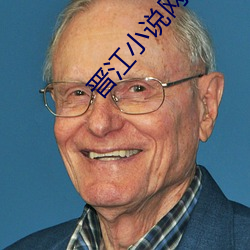 晋江小说网 （辅弼