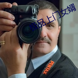 极品上门女婿 （元方季方）