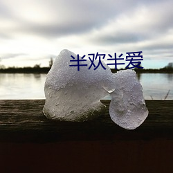 半欢半爱 （长天）