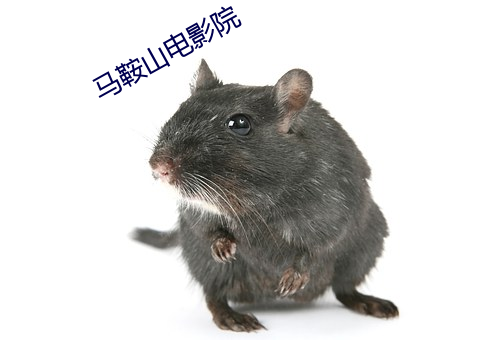suncitygroup太阳集团--官方网站