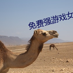 免(免)费强游戏女角色app破解